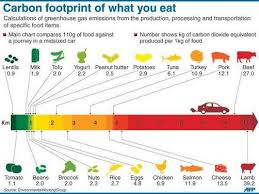 Infographic showing the carbon footprint of various foods, comparing greenhouse gas emissions per kilogram for items like lentils, milk, tofu, poultry, fish, pork, and beef.
