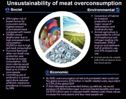 Infographic showing the social, environmental, and economic impacts of meat overconsumption, including health risks, habitat loss, and economic costs.