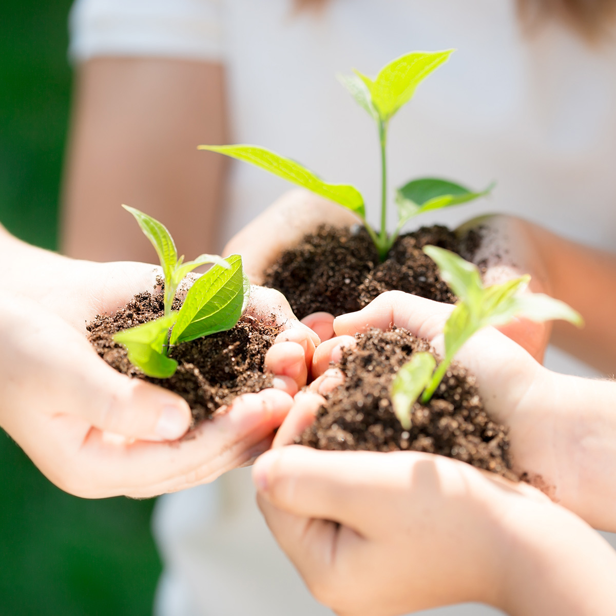 Prevent Soil Pollution