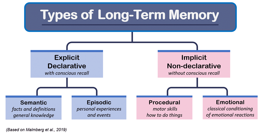 6 Types of Long-Term Memory (2025)