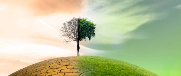 Climate Change Photo