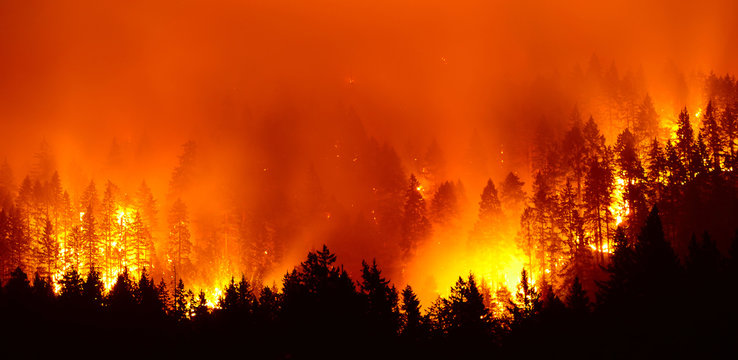  Intense Wildfire