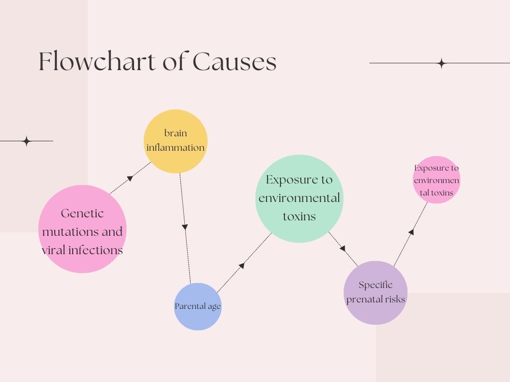 Flowchart of Causes