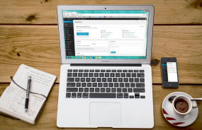 Wordpress Development