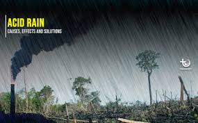 Acid Rain
