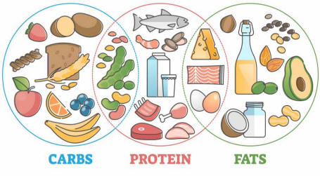 Balanced food consuming